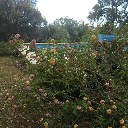 Villa Sotogrande. Privada En Plena Naturaleza